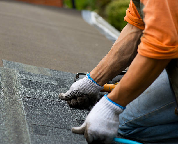 Best Metal Roofing Contractor  in Toledo, OR