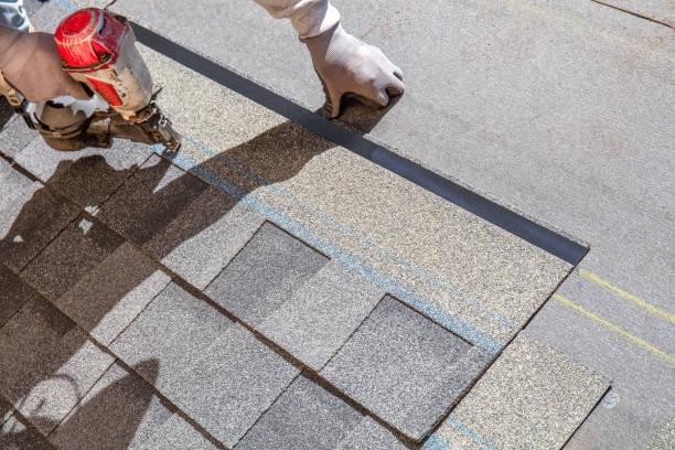 Best Metal Roofing Contractor  in Toledo, OR
