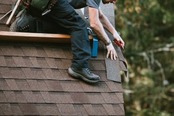 Professional Roofing Contractor in Toledo, OR